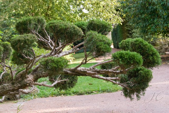 0061Arboretum Vallee aux loups.jpg - SONY DSC